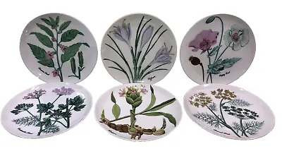 HORCHOW Salad Dessert Plates Botanical Herbs Seeds 7.7  Japan Set Of 6 Vintage • $34.99