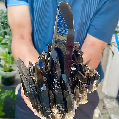 3.27LB Natural Beautiful Black Quartz Crystal Cluster Mineral Specimen • $0.99