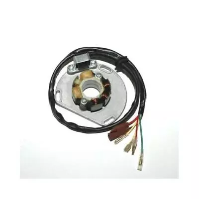 Electrosport Industries ESL235 Lighting Stator • $148.47