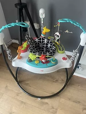 Fisher-Price Baby Bouncer Animal Jumperoo Activity Center With Music And Lights • £35