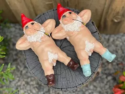 Garden Gnome Naked Nude Gnomes Naughty Laying Down Garden Ornament Statue 25cm • $28.95