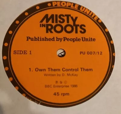 MISTY IN ROOTS - Own Them Control Them (12  Reggae Vinyl) Pre-owned • £12.95
