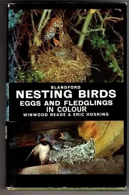 £5 • Buy Nesting Birds, Eggs And Fledglings In Colour : Winwood Reade