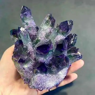 300g+ New Find Purple Phantom Quartz Crystal Cluster Mineral Specimen Gem • $39.99