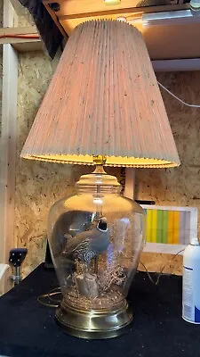 The Wildlife Collection Quail Taxidermy Lamp • $500