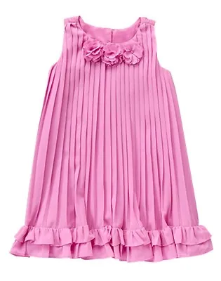 NWT Gymboree Family Brunch Pleated Chiffron Dress Toddler Girls Easter Wedding • $12.95