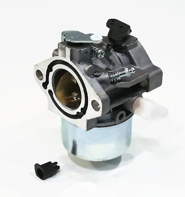 Carburetor Assembly For Briggs & Stratton 699831 694941 Murray 699831 Carby • $20.99