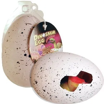 £7.49 • Buy Jumbo Large Hatching & Growing Dinosaur Egg Jurassic Era Gift For Children Kids