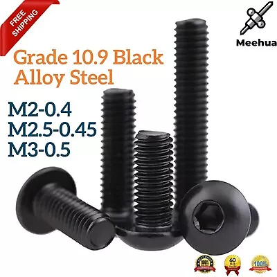 M2 M2.5 M3 Allen Hex Socket Button Head Screw Bolt Grade 10.9 Black Alloy Steel • $8.97