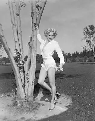 Actress Mamie Van Doren Posing By Tree - Marilyn's Double...Th - 1953 Old Photo • $9