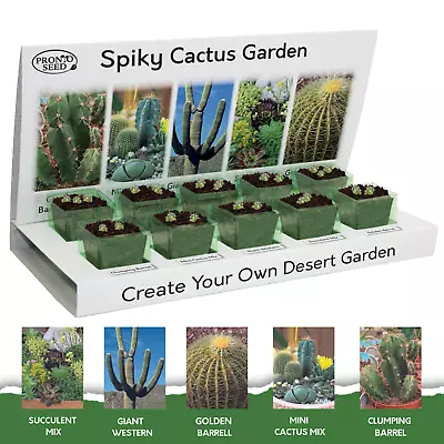 Cactus Seeds | Cactus Growing Kit | Gardening Gift For Women | Men • £9.99