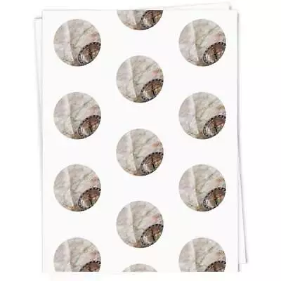 'Map & Compass' Gift Wrap / Wrapping Paper / Gift Tags (GI109272) • £3.99