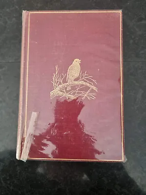 £10 • Buy British Birds ~ W. H. Hudson ~ 1906 ~ Hardback