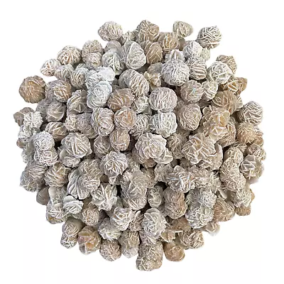 $27.99 • Buy 1 Lb Mini Desert Rose Sand Selenite Gypsum Gemstone Crystal Baryte Rock Specimen