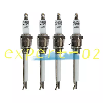 NEW 1PCS Replace For ECLIPSE Ignition Electrode 10019728 Burner Spark Plug • $22