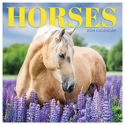 F PUBLISHING 2024 Horses Mini Calendar | Premium Thick Gloss Paper • $4.75