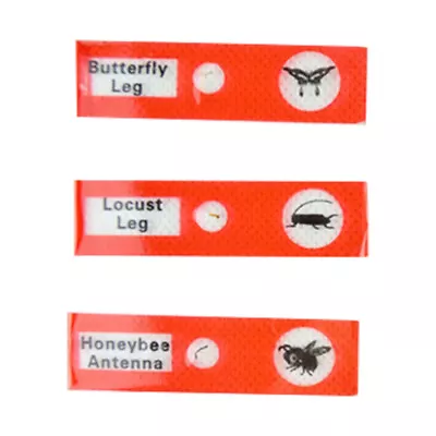  12 Pcs Home School Microscope Slides Colorful Labels Animal • $9.26