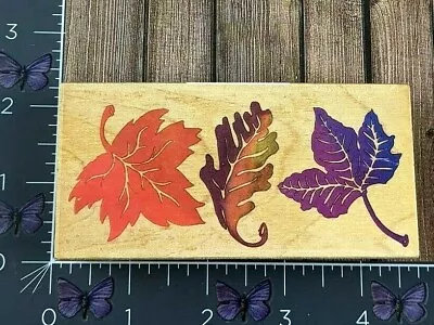 All Night Media Three Fall Leaves Maple Rubber Stamp Tree Autumn Posh Wood #W50 • $5.49