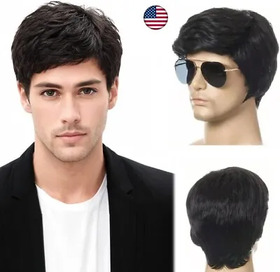 Black Men Wig Short Full Wigs Straight Little Wavy Synthetic Hair Daily Wigs USA • $13.13