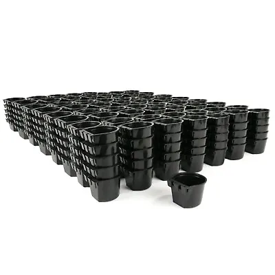 (Pack Of 300) Black Cage Containers Specs 4 1/8  Long 2 3/8  Tall 3 1/4  Wide • $199.99