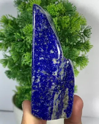240Gram Lapis Lazuli Rough Freeform A+++ Polished Slab Crystal From Afghanistan • $28.99