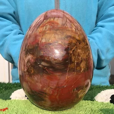 16.5LB Natural Wood Fossil Quartz Crystal Egg Mineral Specimens Healing • $0.99