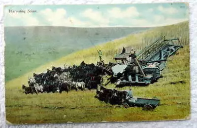 1911 Postcard Harvesting Scene Horse Drawn Equipment #3 • $5