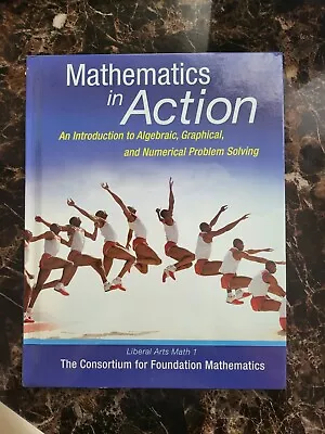 Mathematics In Action : An Introduction To Algebraic Graphical Numerical By - • $130