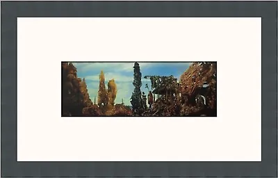 Max Ernst Europe After The Rain Custom Framed Print • $75