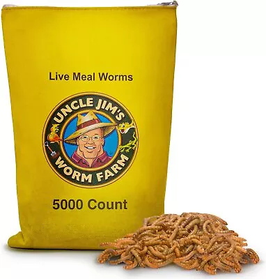 Uncle Jim's Worm Farm LIVE Mealworms • $14.95