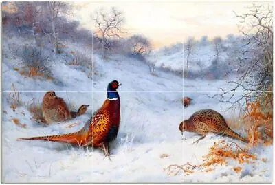 Tile Mural Pheasant In The Snow Kitchen Wall Shower Backsplash Marble Ceramic • $132.91