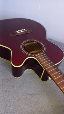 $140 • Buy Takamine Dreadnought Steel String Guitar Great Condition Full Size.