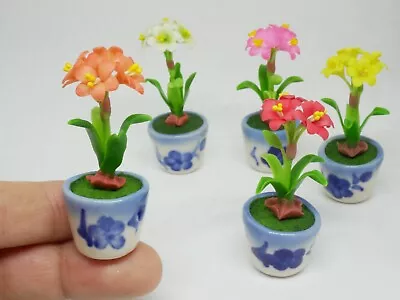 1 Pc Miniature Amaryllis Flower Clay In Ceramic Pots Dollhouse Handmade • $4