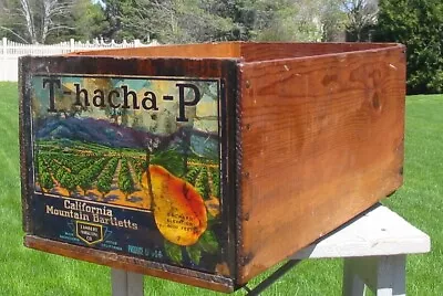 Vtg Wood T-hacha-P Produce Crate California Mountain Bartletts Fruit Box Wooden • $39.95