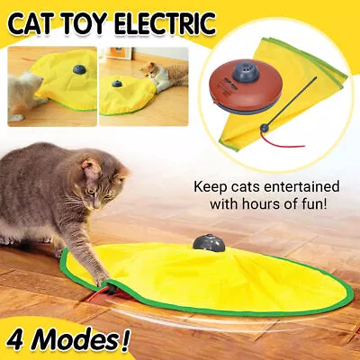 Interactive Cat Toy Electronic Kitten Teaser Moving Mouse Fabric Puzzle Game • $19.15