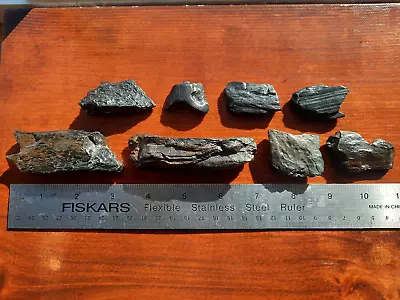 Fossil Eocene Mastodon Incisor Suwannee River Fl. Natural Polish ~ 170 Grams • $65