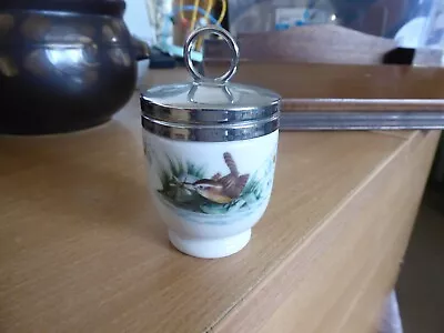 Collectors Royal Worcester Egg Coddler Wren • £3