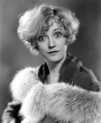 Beautiful Marion Davies 8x10 Photo • $8.99