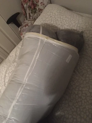 $20 • Buy QUEEN ROSE Pregnancy Pillow -Velvet Cover-Maternity Body Pillow U Shaped Used