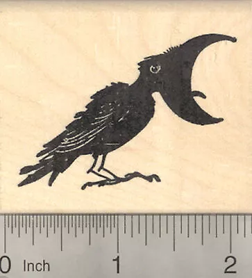 Raven Bird Rubber Stamp Crow Caw Blackbird H22709 WM • $18