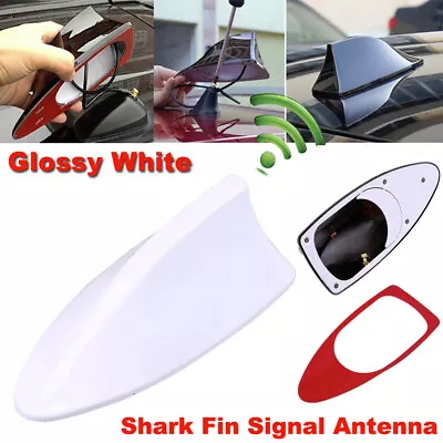 White Universal Car Auto Roof Radio AM/FM Shark Fin Style Signal Aerial Antenna • £7.19