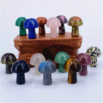 10pcs Mini Crystal Mushrooms Agate Stones Natural Quartz Gem Crystal Healing • $9