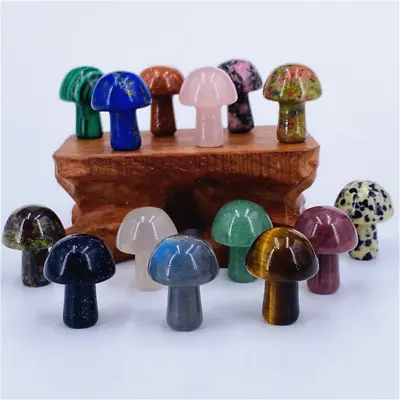 30pcs Mini Crystal Mushrooms Agate Stones Natural Quartz Gem Crystal Healing • $17.80