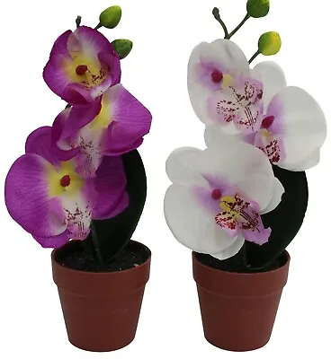 Set Of 2 Mini Plants Artificial Orchid Plant In White & Purple Plants • £13.99