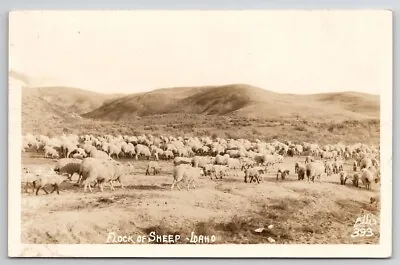 Flock Of Sheep In Idaho RPPC Ellis Photo 1946 To Meadville PA Postcard U25 • $14.95
