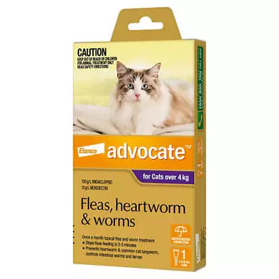 Advocate Cat Bayer 4Kg Plus Large 1'S Purple • $41.99