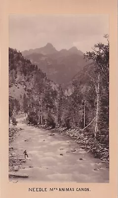 W H Jackson : Needle Mountains Animas Canon : 1870s LARGE Albumen Photo COLORADO • $125