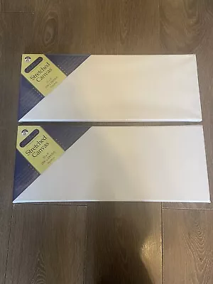 2 Blank Rectangular Canvases  • £3