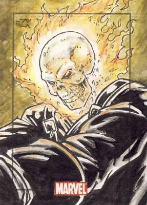 2010 Marvel Heroes And Villains Sketch Card Goulart Ghost Rider B • $149.99