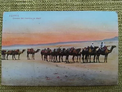 1910 Egyptian Postcard A Caravan Of Camels In The Desert.  • £1.50